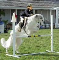 /album/fenykepgaleria/epep-jpg/