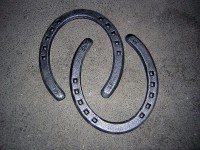 /album/fenykepgaleria/az-igazi-vas-patko-jpg/